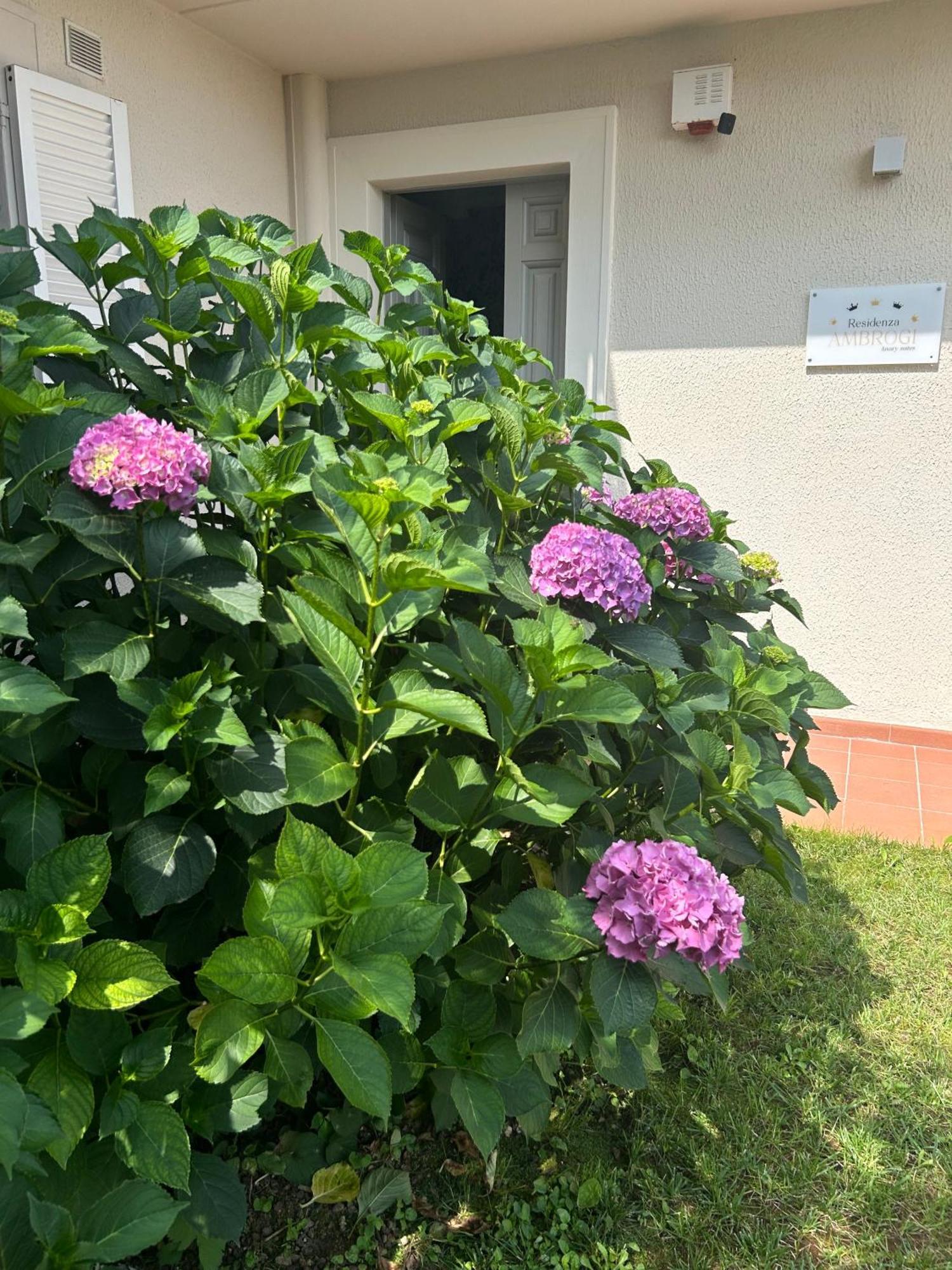 Residenza Ambrogi Aparthotel Urbino Luaran gambar