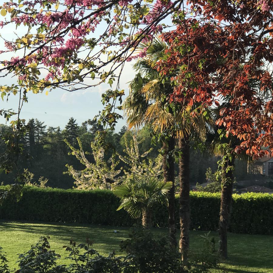 Residenza Ambrogi Aparthotel Urbino Luaran gambar