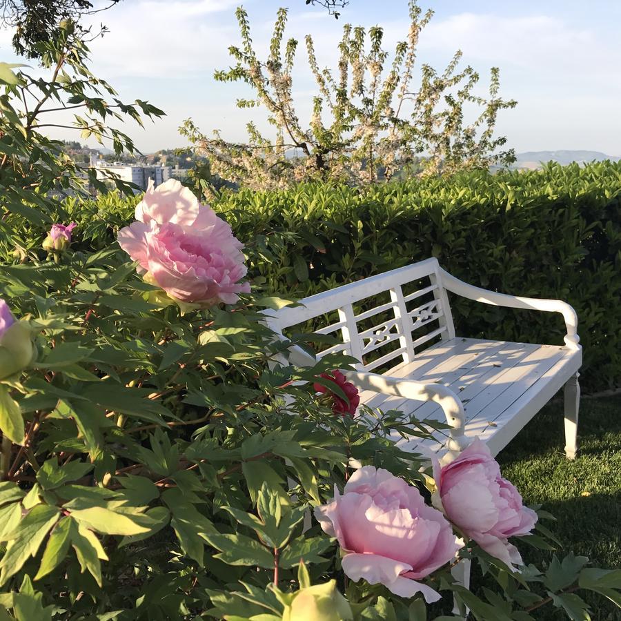 Residenza Ambrogi Aparthotel Urbino Luaran gambar